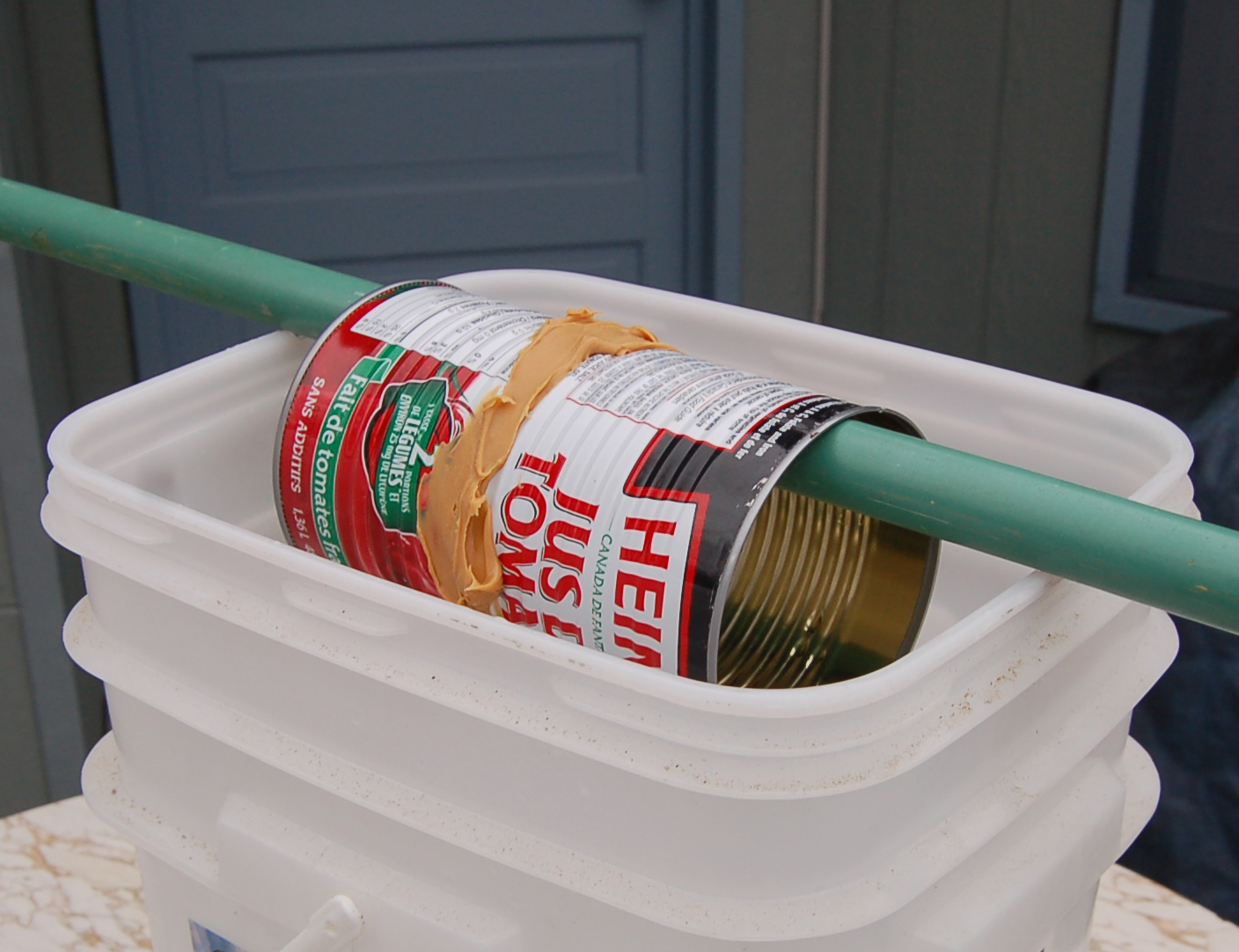 Click to view larger image in new window