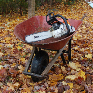 Breathing fire into the Stihl dragon