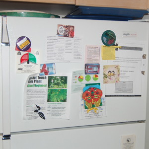 The fridge of DEATH.